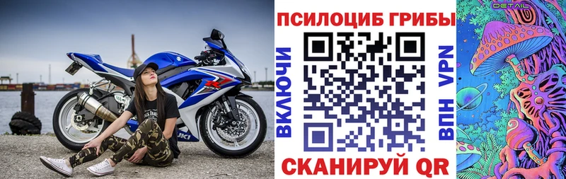 Псилоцибиновые грибы мицелий Североморск